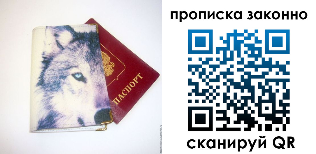 временная регистрация поиск в Курганской области